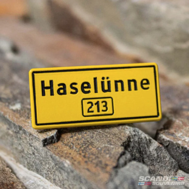 Haselünne - pin