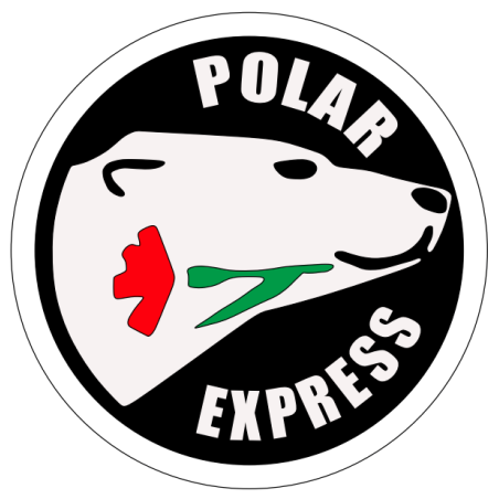 POLAR EXPRESS NALEPKA 8 CM