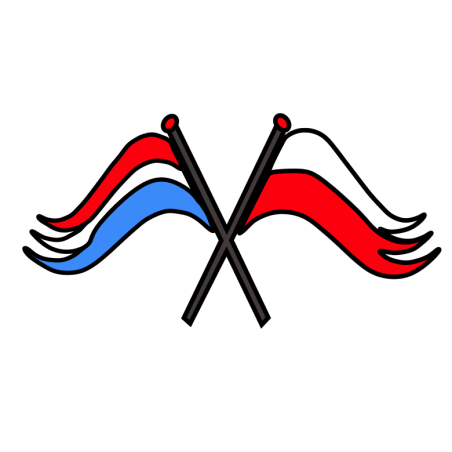 BANDIERE PAESI BASSI POLONIA WLEPA 10x5 CM