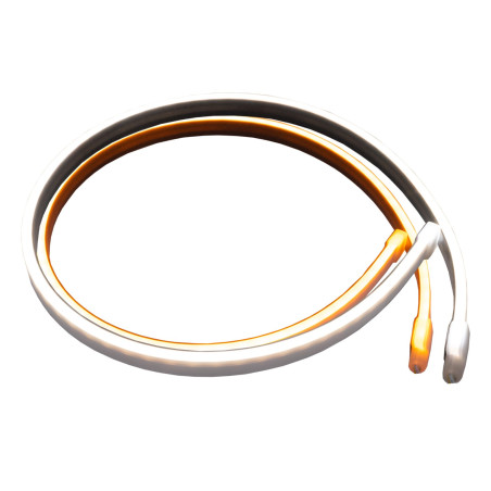 LUCE BURCH DOPPIA COLORE SCANIA NEXT GEN