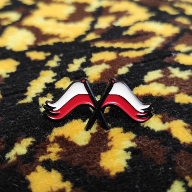 Flags Poland Poland - pin