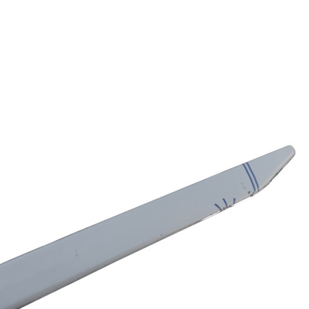 Pour DAF NGD XF XG XG + BANDES INOX AU-DESSUS DE LA FENÊTRE LATÉRALE