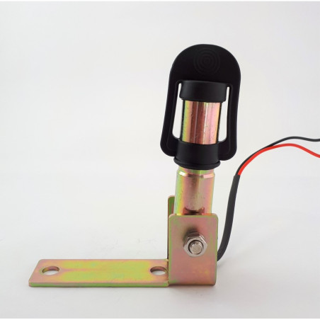 SET SMOKED FLASHING LAMP ALR0084 + PIN AKC1007K-A