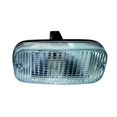 CITRONS TALMU BLANC EN PARE-CHOCS LAMPES TUNING TIR