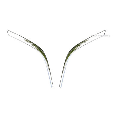 SCANIA NG PRÄGLAD LIST I ROSTFRITT STÅL FÖR MITTHALOGENER