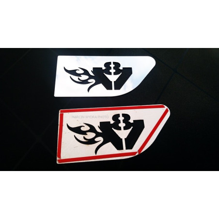 SCANIA V8 CAB AERILE, INOX DEKOR