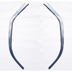 SCANIA NG lath window bed chrome 3D 2