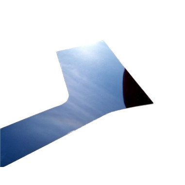 DEKOR BRANIKA SCANIA R INOX