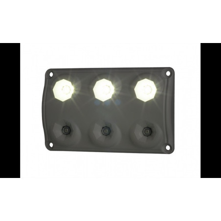 Red + white LED truck interior light