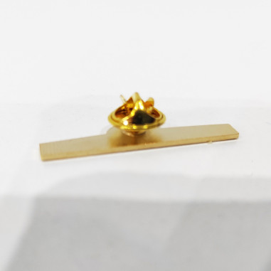 ASG TRANSPORT SPEDITION - pin